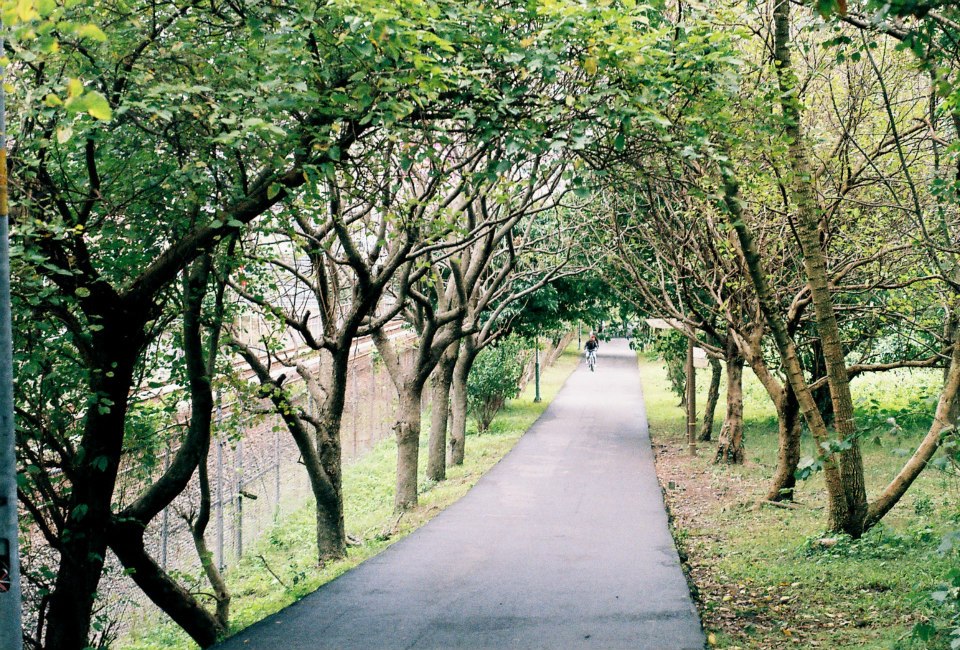 A flat paved pathway with grassy areas and trees on each side.